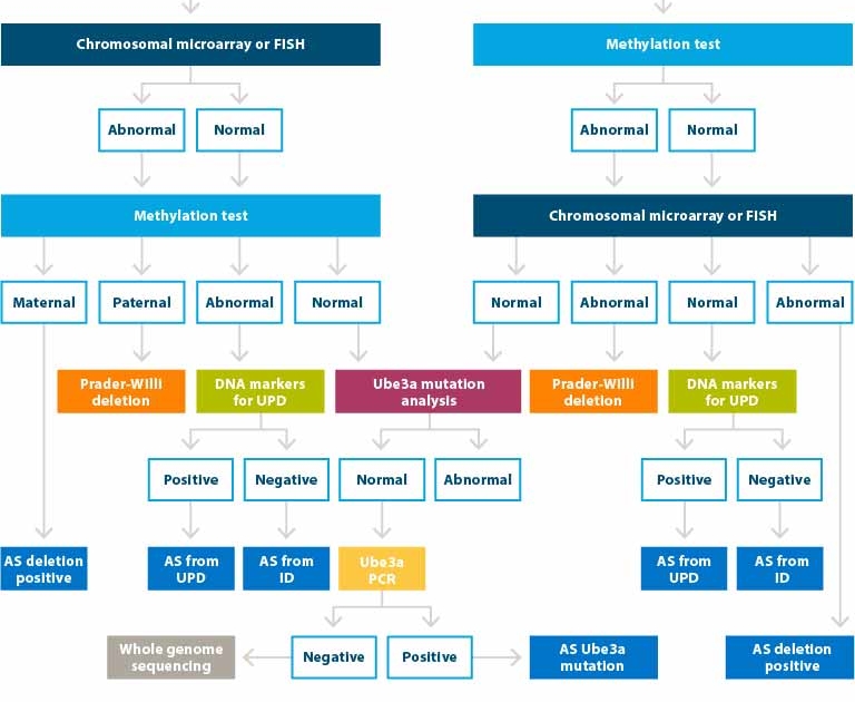 FAST Suspicion Chart