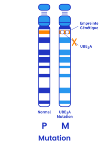 Mutation